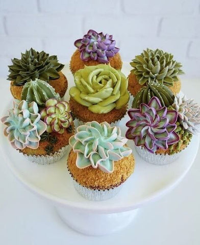 Seven cupcakes decorated with sage green and lavender frosting that's meant to look like cacti and other succulents