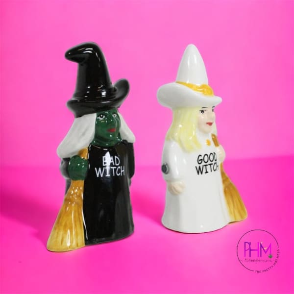 https://cdn.shopify.com/s/files/1/0115/1647/7497/files/bad-witch-good-magnetic-salt-pepper-shakers-the-pretty-hot-mess-daty-457.jpg