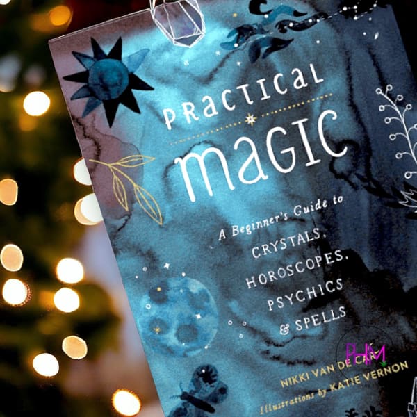 Practical Magic by Nikki Van De Car