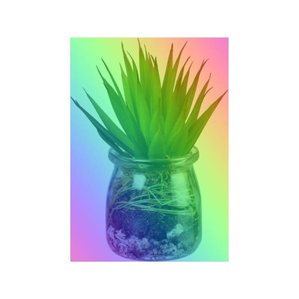 https://cdn.shopify.com/s/files/1/0115/1647/7497/products/aloe-succulent-in-jar-the-pretty-hot-mess-violet-blue-flowering-317.jpg