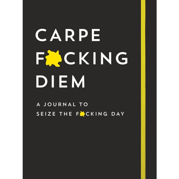 https://cdn.shopify.com/s/files/1/0115/1647/7497/products/carpe-fcking-diem-journal-seize-the-day-pretty-hot-mess-yellow-book-signage-648_1600x.jpg?v=1666996981