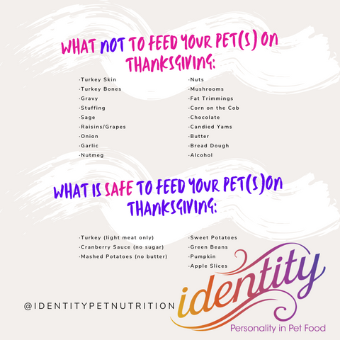 What your pets can or can't have at Thanksgiving!