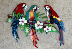 Parrots 🦜 Love Birds Macaw - Trio
