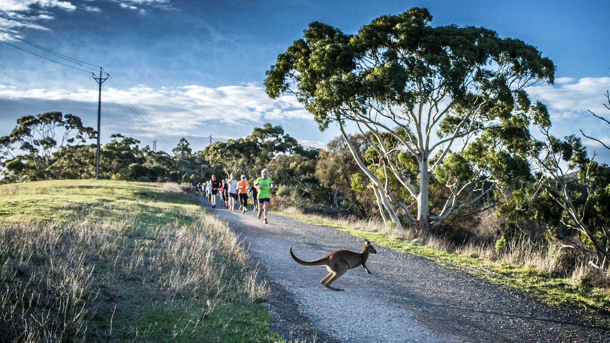 Cleland parkrun