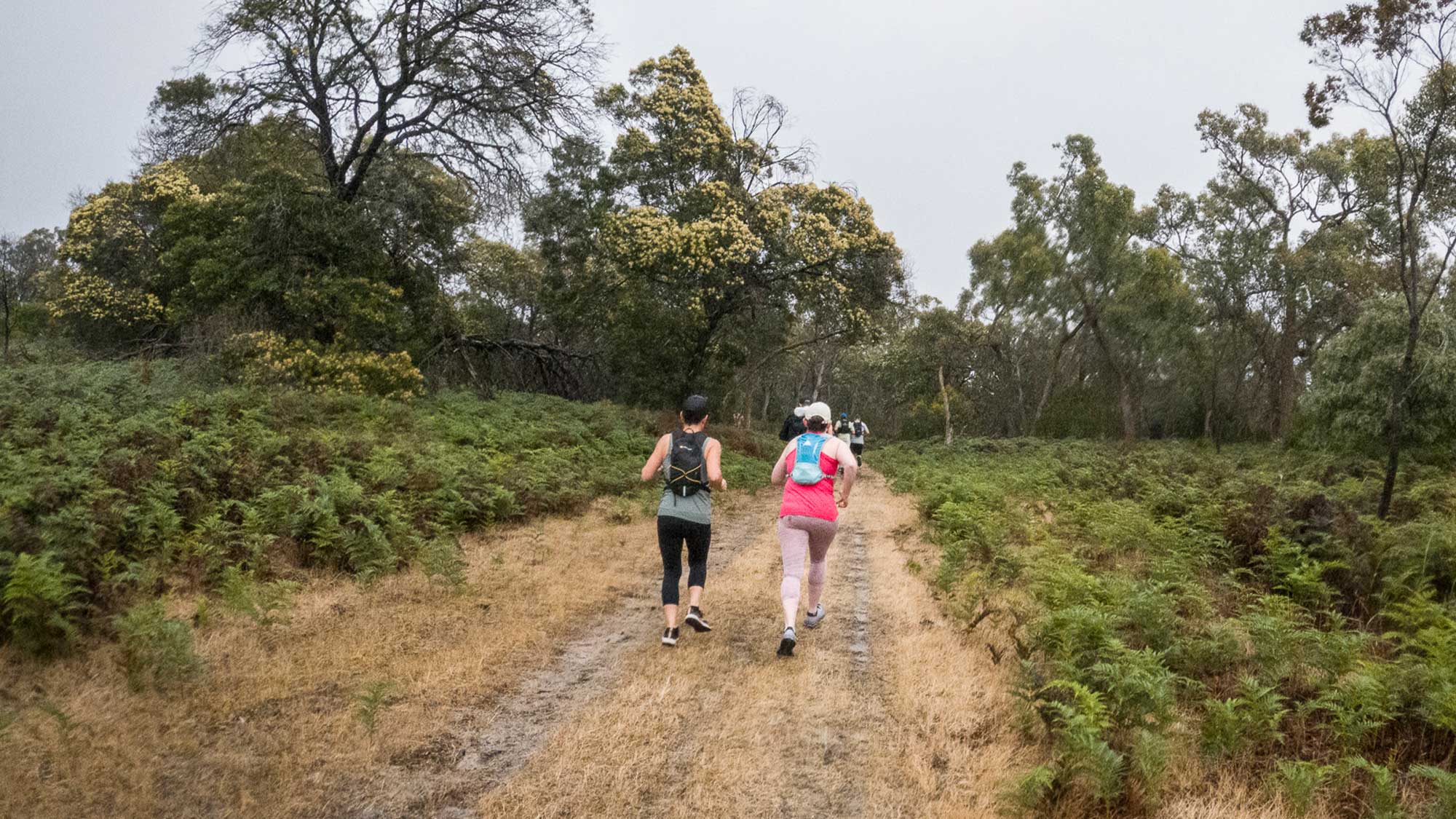 Naracoorte Megafest Trail Run