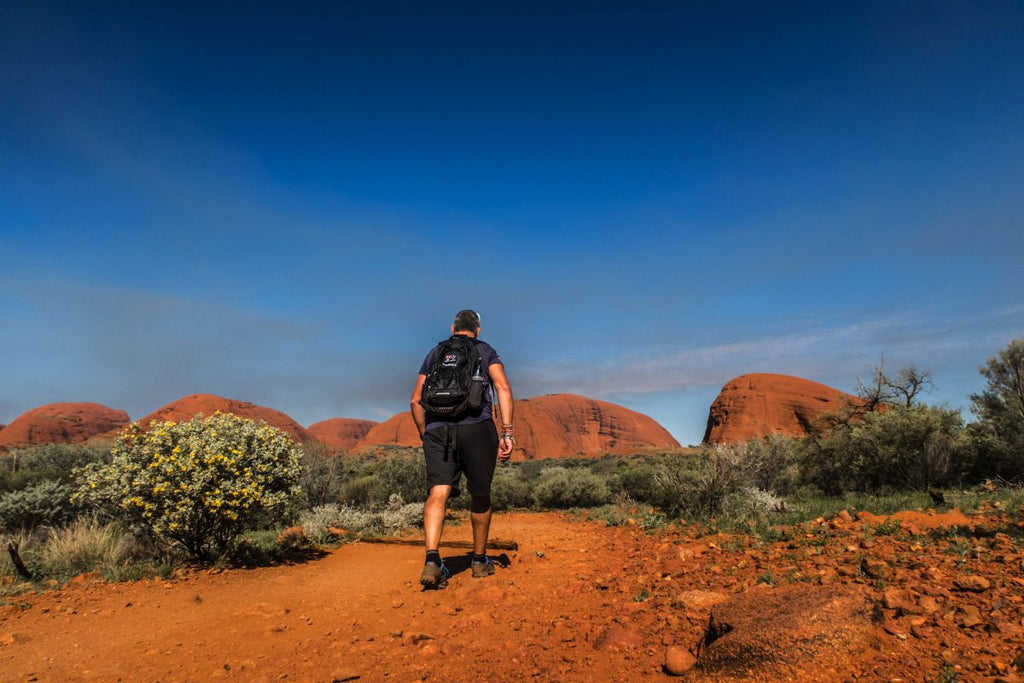 Sputnik walking on a trail, wearing an ioMerino's Men's Universal Tee in Charcoal