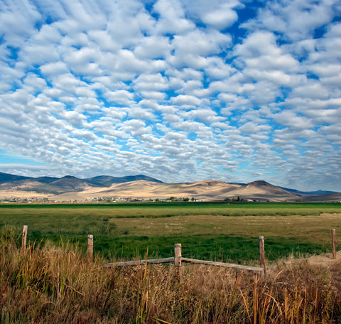 forklifts for sale in montana