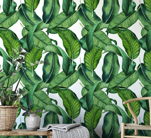 Big Bold Banana Leaf peel and stick wallpaper