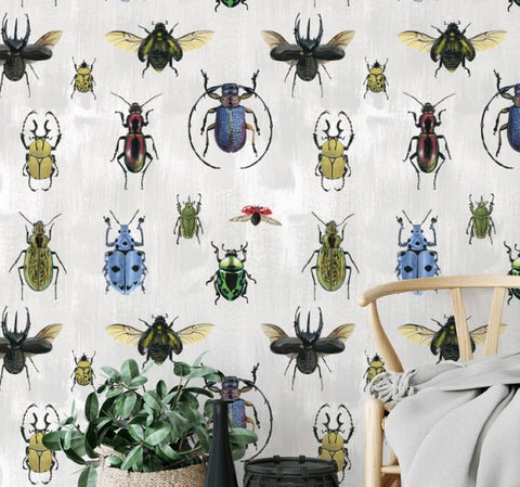 MUSE Natural Wonder Beetles peel and stick wallpaper by Naomi McCavitt