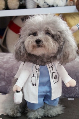 dog doctor