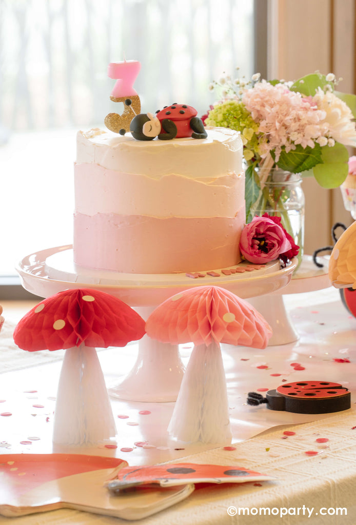Momo-Party_Spring-Fairy_Birthday Cake
