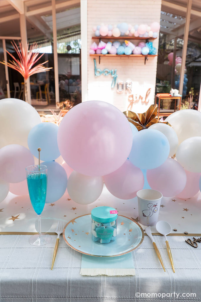 Momo Party_Gender-Reveal_Dinning-table-view