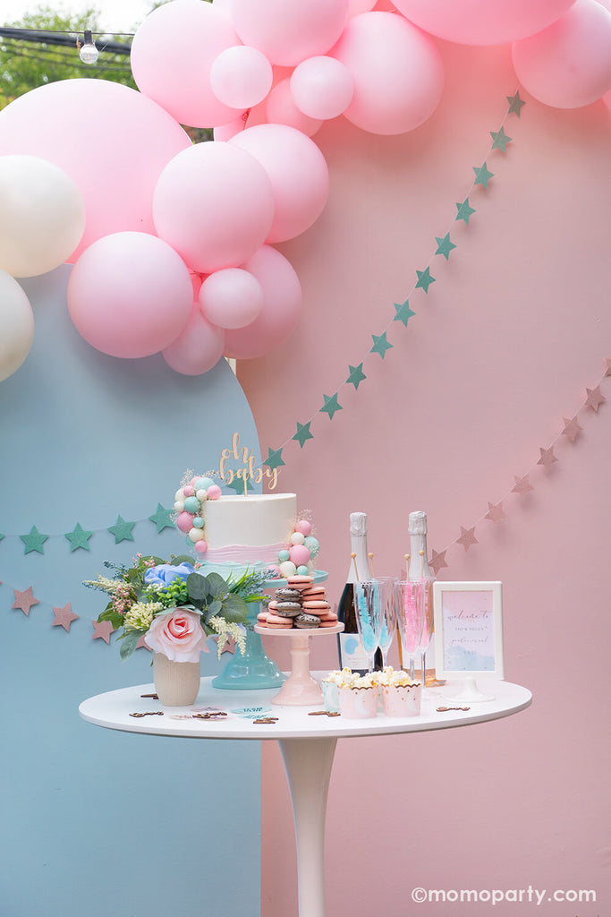 Gender Reveal Party Decorations and Baby Shower Decoration Ideas