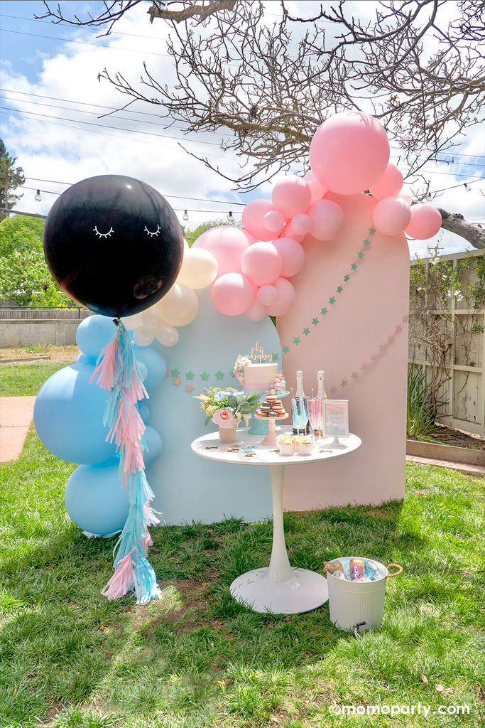 Momo Party_Gender-Reveal_Party-Blue Pink Backdrop and Balloon Garland