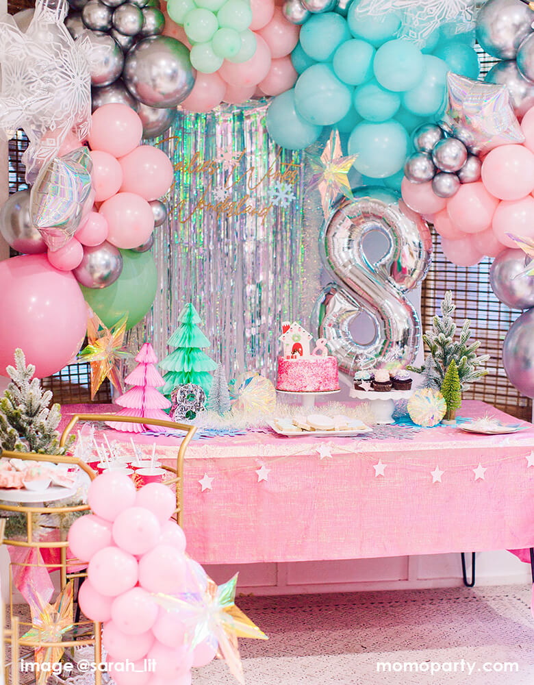 Momo Party_Winter-Wonderland-Party_Backdrop Decoration