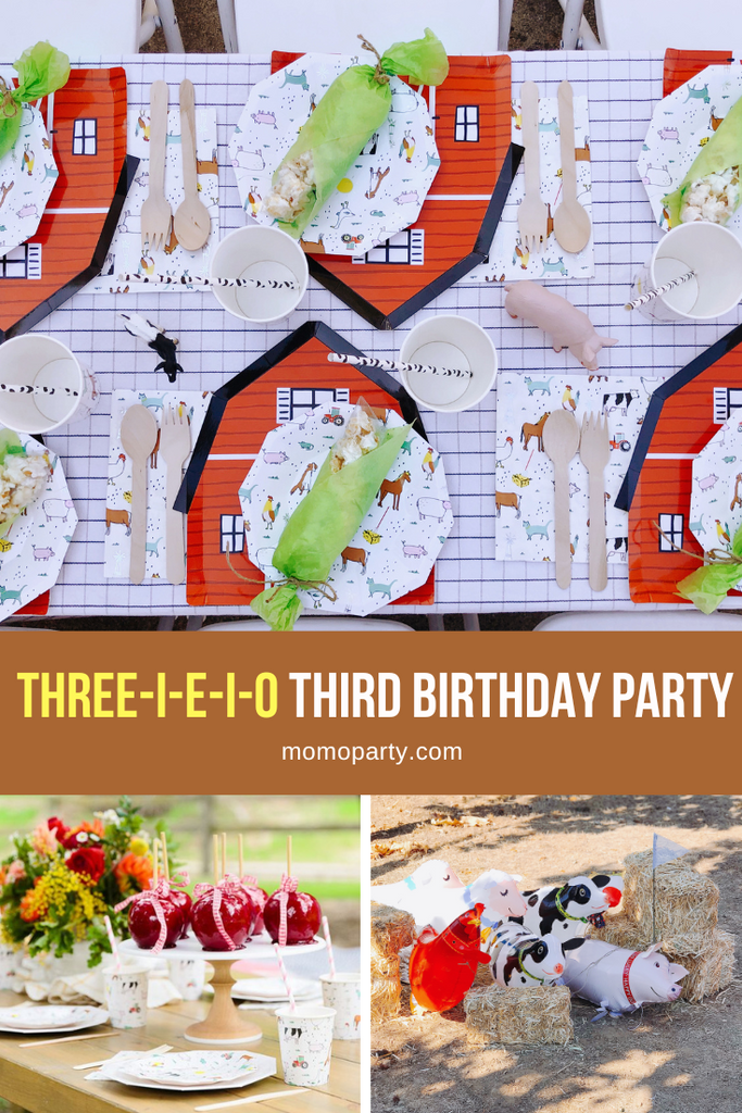 Three-i-e-i-o Kid's Farm Themed Third Birthday Party Ideas by Momo Party