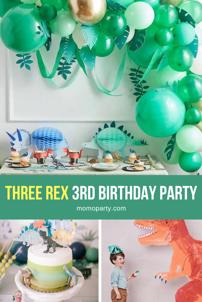 Three Rex Kid's Dinosaur Themed Third Birthday Party by Momo Party