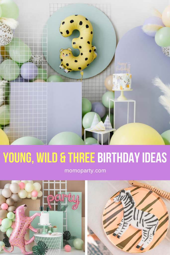 Young Wild and Three Third Birthday Party Ideas by Momo Party