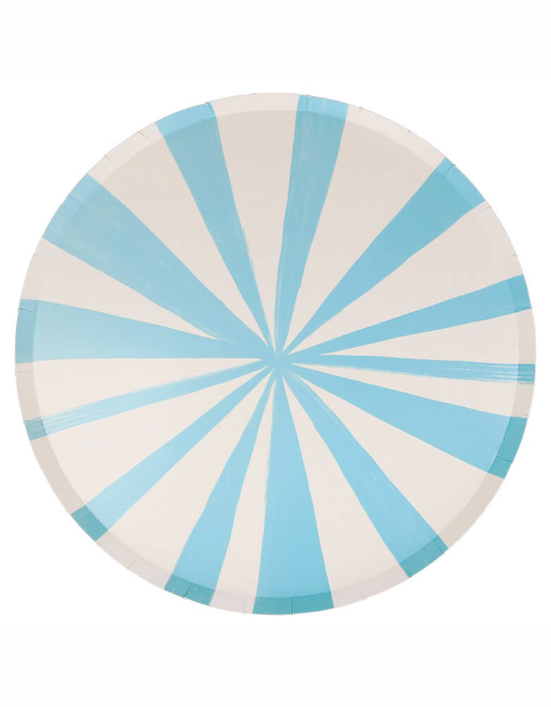 Thick and Thin Blue and White Stripes Paper Plates