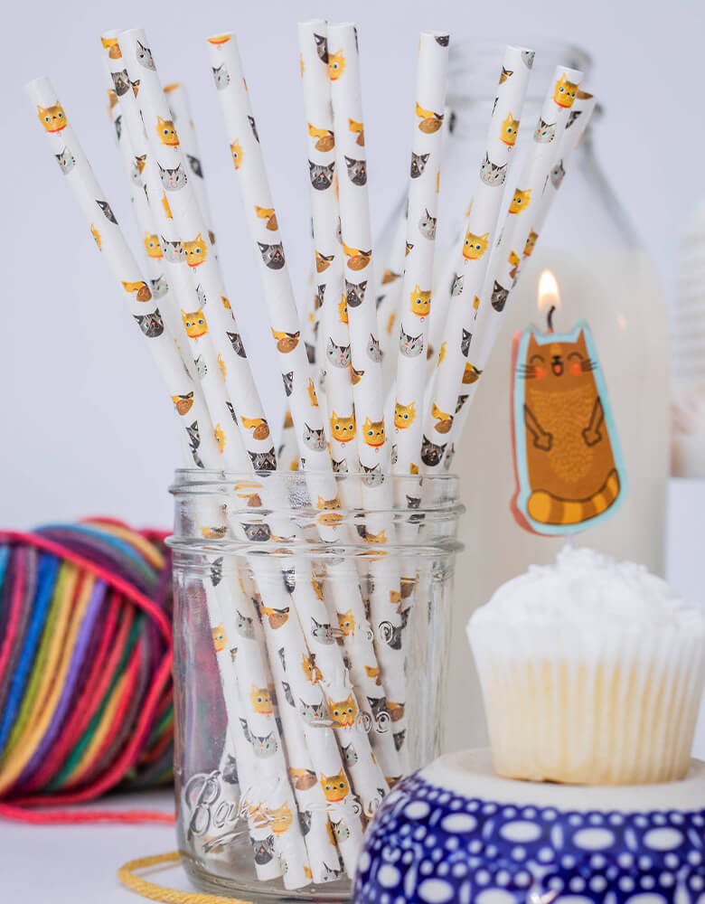 Big Dot Of Happiness Prickly Cactus Party - Paper Straw Decor - Fiesta  Striped Decor Straws - 24 Ct