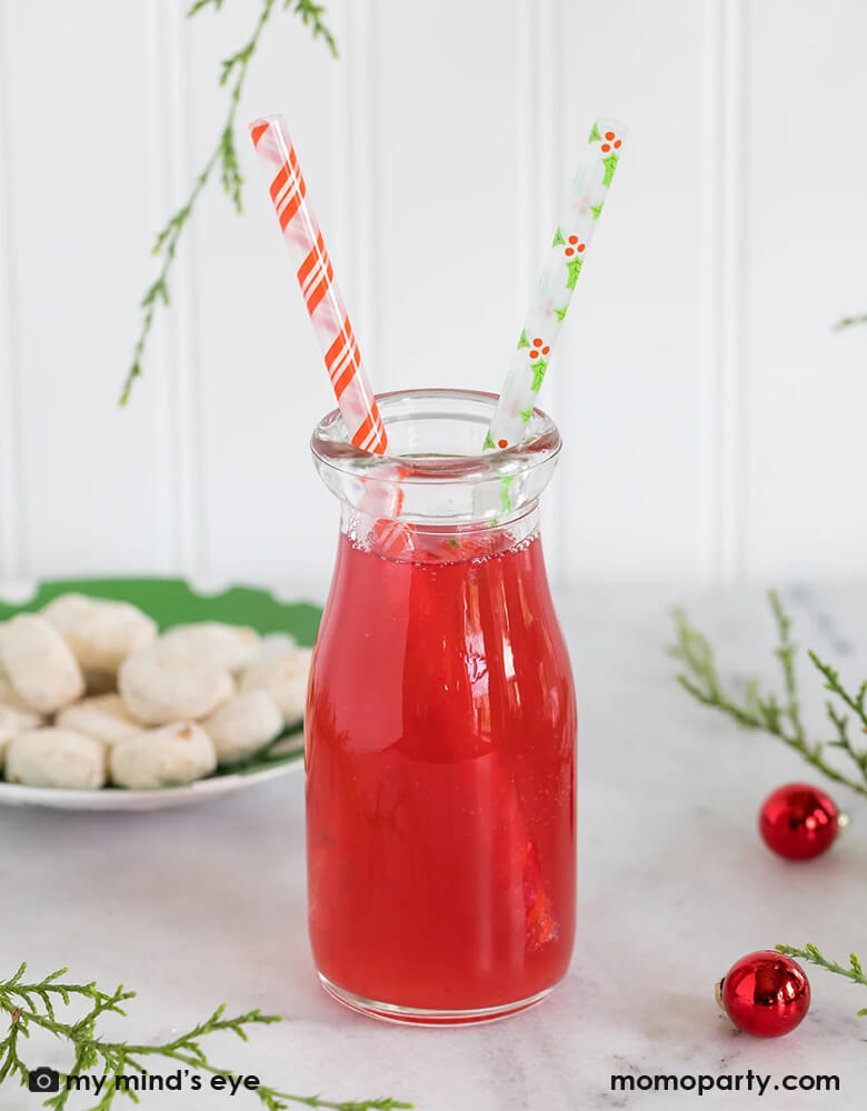 GINGERBREAD REUSABLE STRAWS – Bonjour Fête