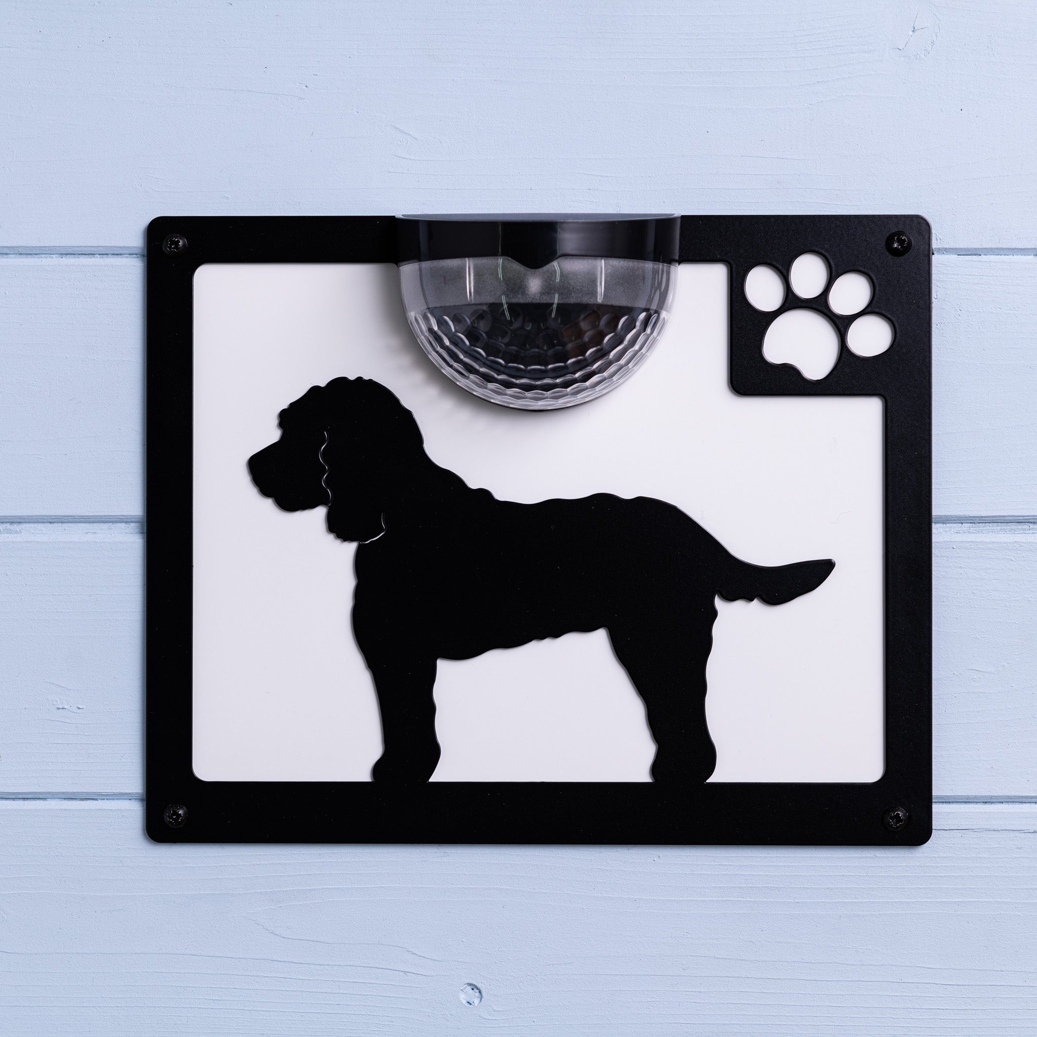 Cockapoo Dog Solar Light Wall Plaque on Blue Shed Background with White Backing