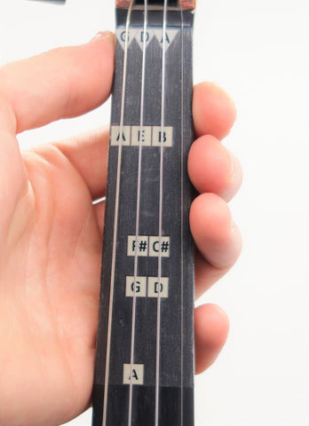 Fantastic Finger Guide - D Major Beginner Guide Front View