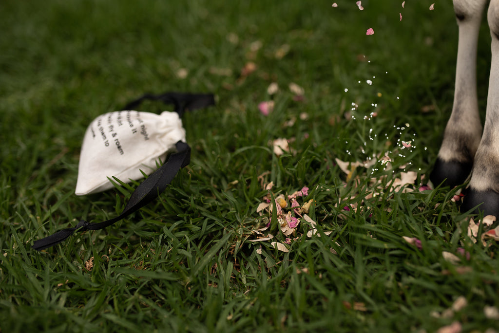 Reindeer food scattered on grass with reindeer legs and snowflakes