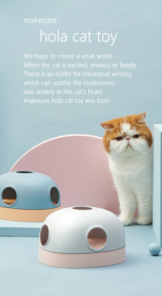 hola cat toy story