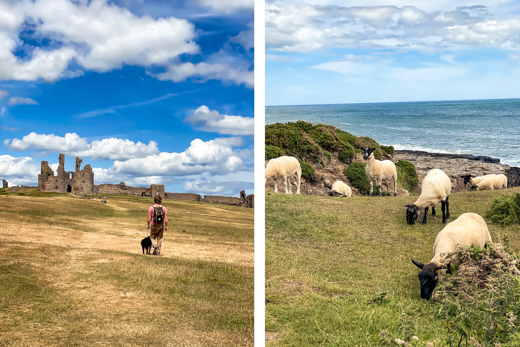 Dunstanburgh, Northumberland