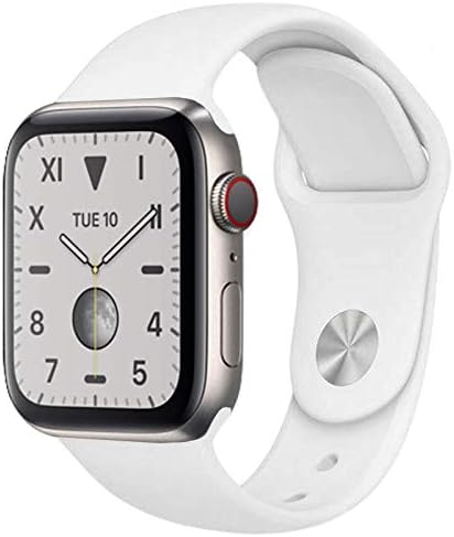 Apple Watch Edition Series 5 GPS/Cel 40mm Silver Titanium Grade (B)