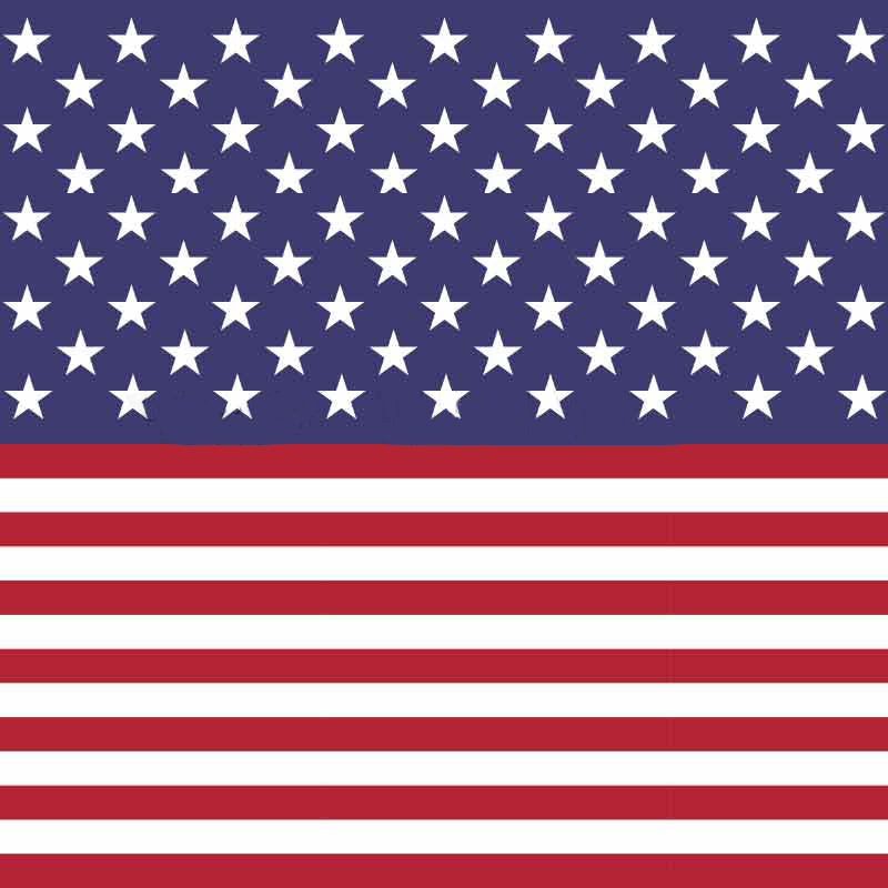 Image of Stars and Stripes Patterned Heat Transfer Vinyl (HTV)