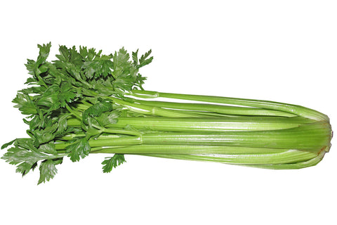 how to make celery juice in a slow juicer