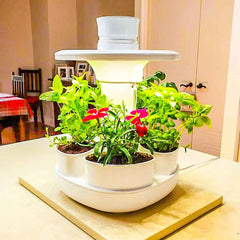 Urbipod indoor herb garden australia - smart garden - indoor garden kit