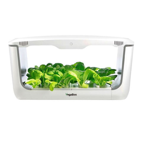 VegeBox™ Home - Indoor Hydroponic Garden salad greens