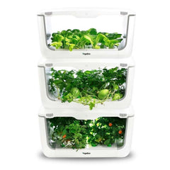 vegepod indoor herb garden kit - smart indoor garden - hydroponic herb garden