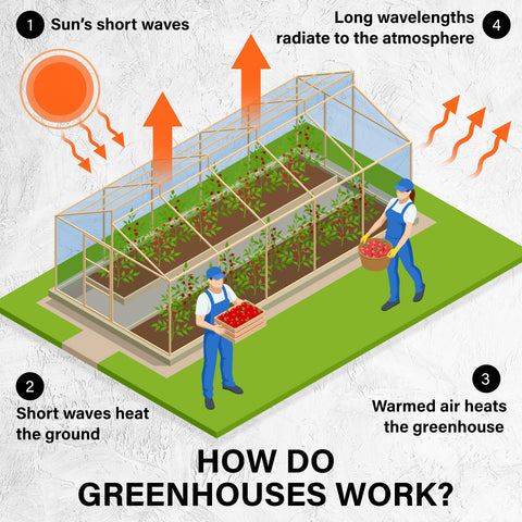 sproutwell and small greenhouse kits australia - backyard green house