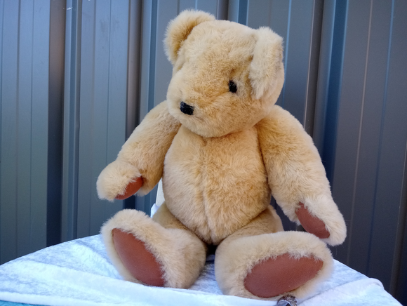 teddy bear with flashlight 90's toy
