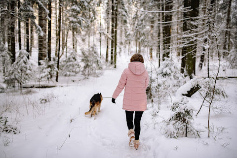 woman walking dog in forest
