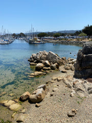 beach alcove at Monterey Seaside Harmony