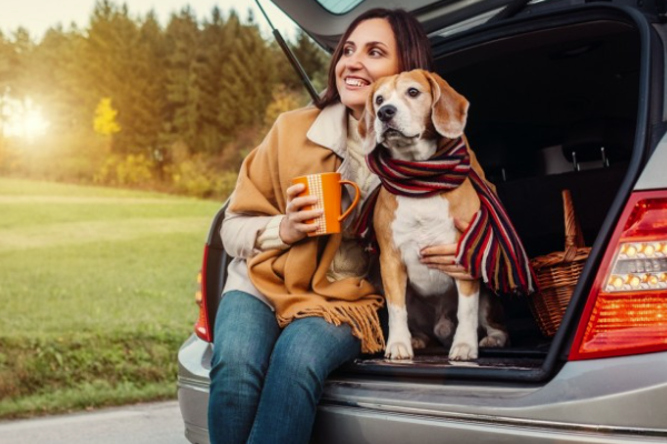 Tips for traveling with pets