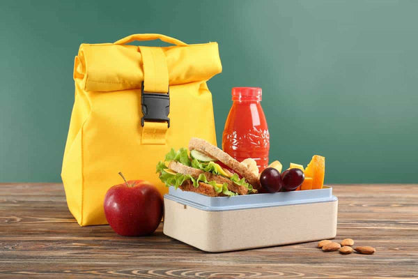 Best Lunch Box Backpack For Adults