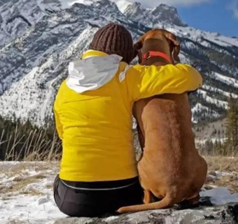 7 tips for  backpacking hiking with your dog