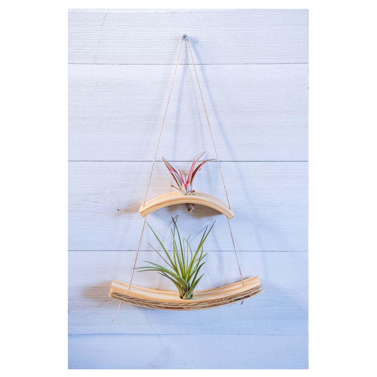 Hanging Triangles x2 Air Plant Hanger – Wildly Urban