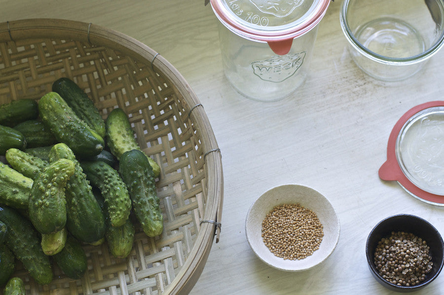 Recipe Pickled Baby Cucumbers Tessuti