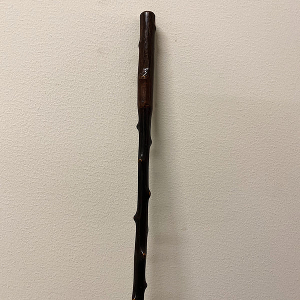 Antique Blackthorn Shillelagh Walking Stick Cane Early 1900s Mad Van Antiques 1422