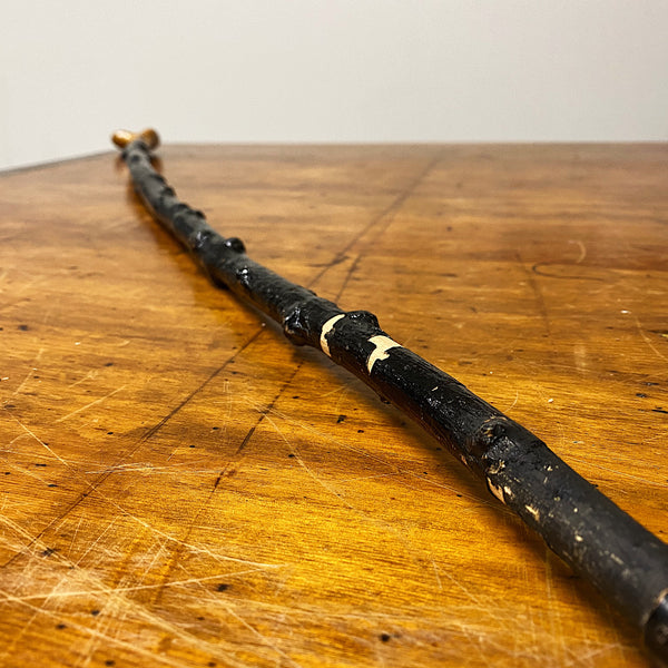 Antique Irish Shillelagh Blackthorn Cane Early 1900s Mad Van Antiques 2155