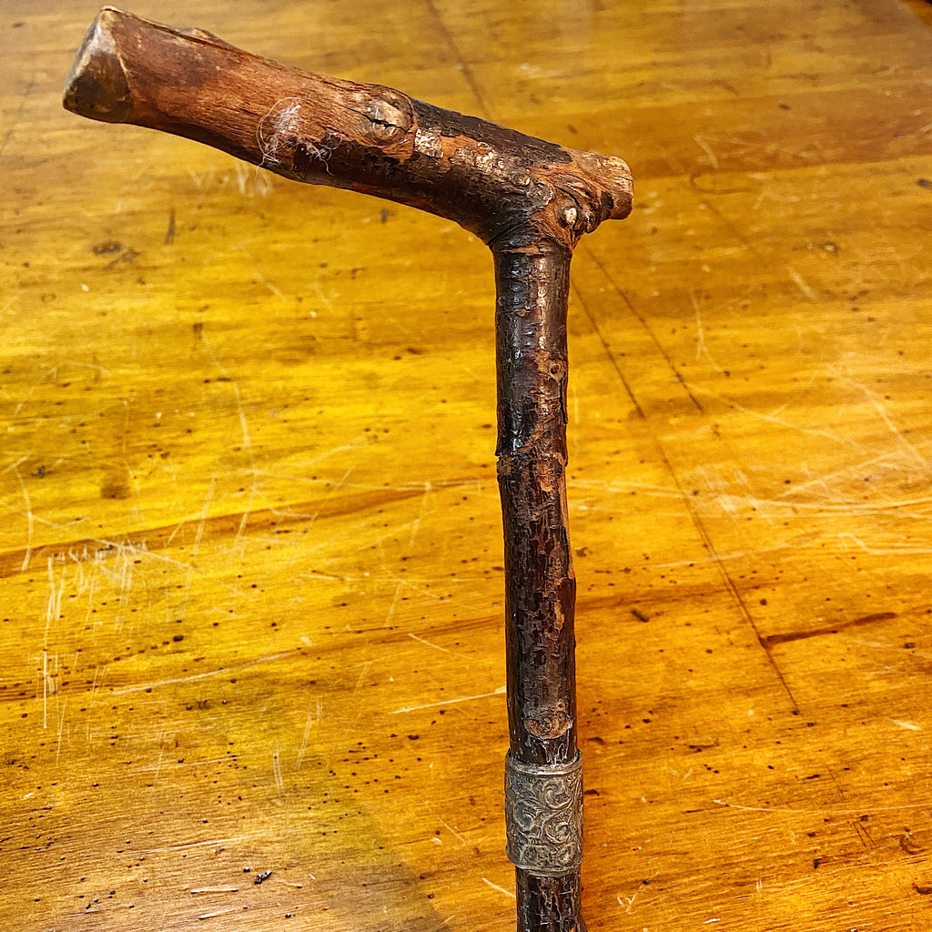Antique Irish Blackthorn Shillelagh Walking Cane Early 1900s Mad Van Antiques 7737