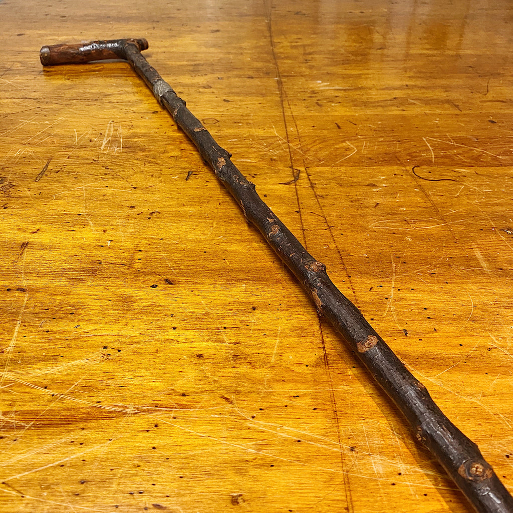 Antique Irish Blackthorn Shillelagh Walking Cane Early 1900s Mad Van Antiques 8129