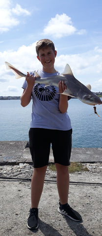 Smoothound. Fishing the holyhead breakwater